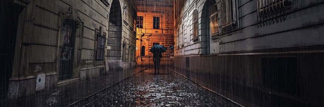 wdt_rainy's profile banner image