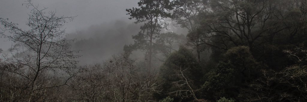 ndymrll's profile banner image