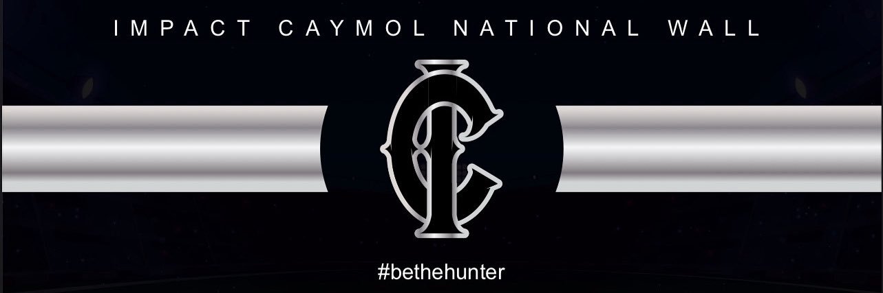 Vanessa Cooley 2028 banner