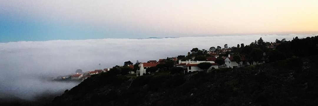 Remzi Gokmen banner