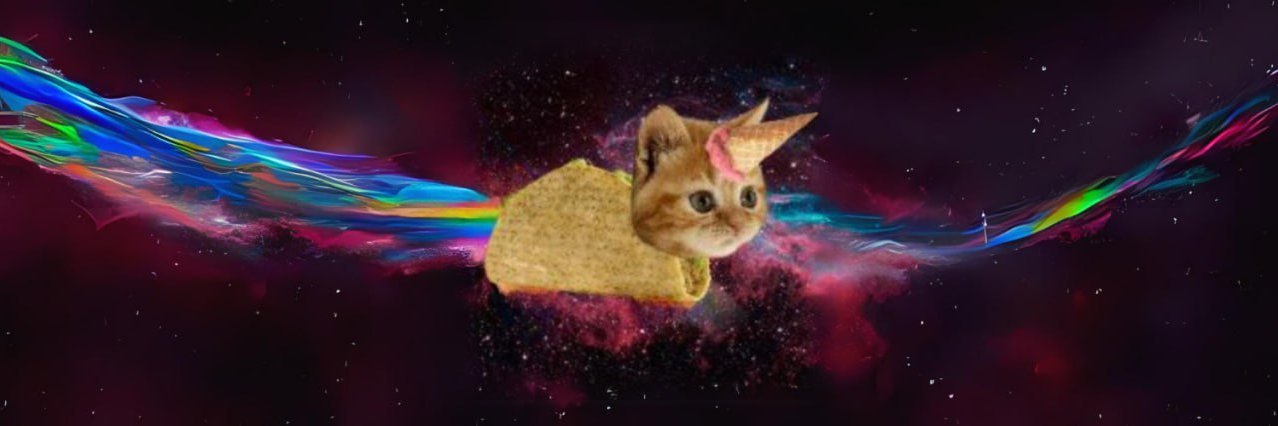 Flying Taco Icecream Cat banner