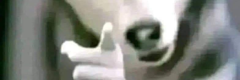 Deavll's profile banner image