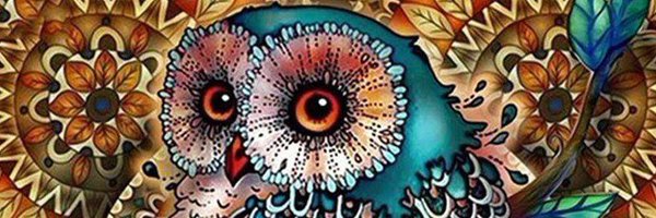 RealCherokeeOwl Profile Banner