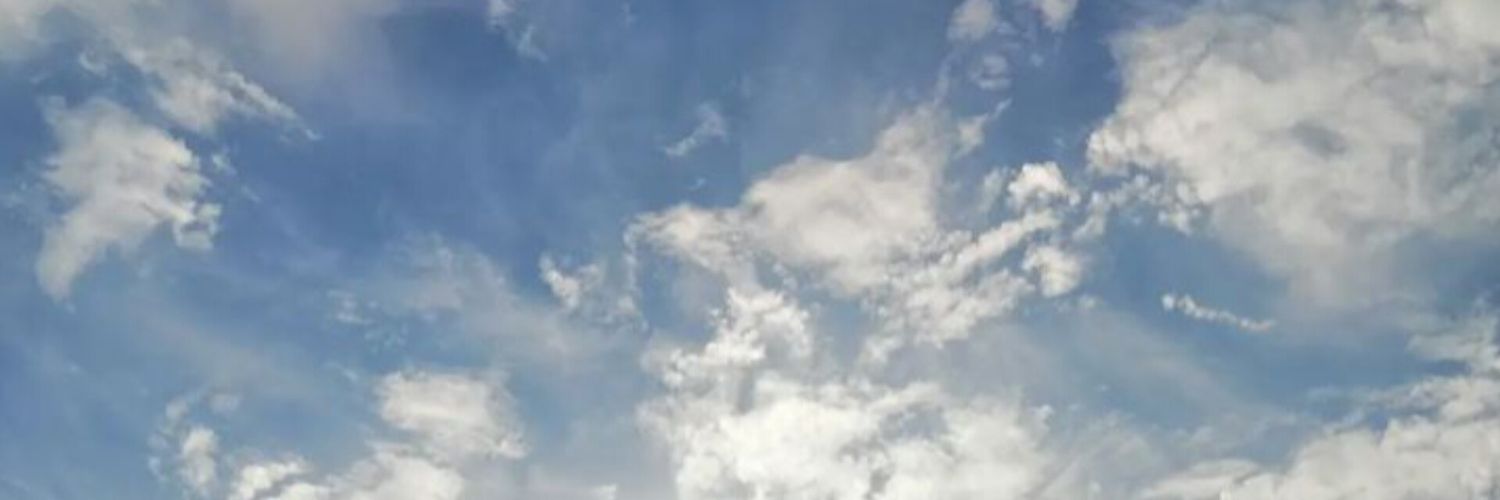 OzlemErkoc's profile banner image