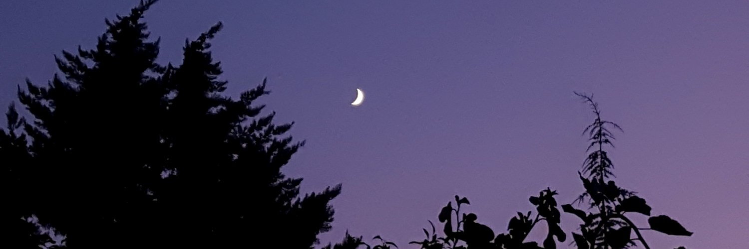 petibörpiskevit banner