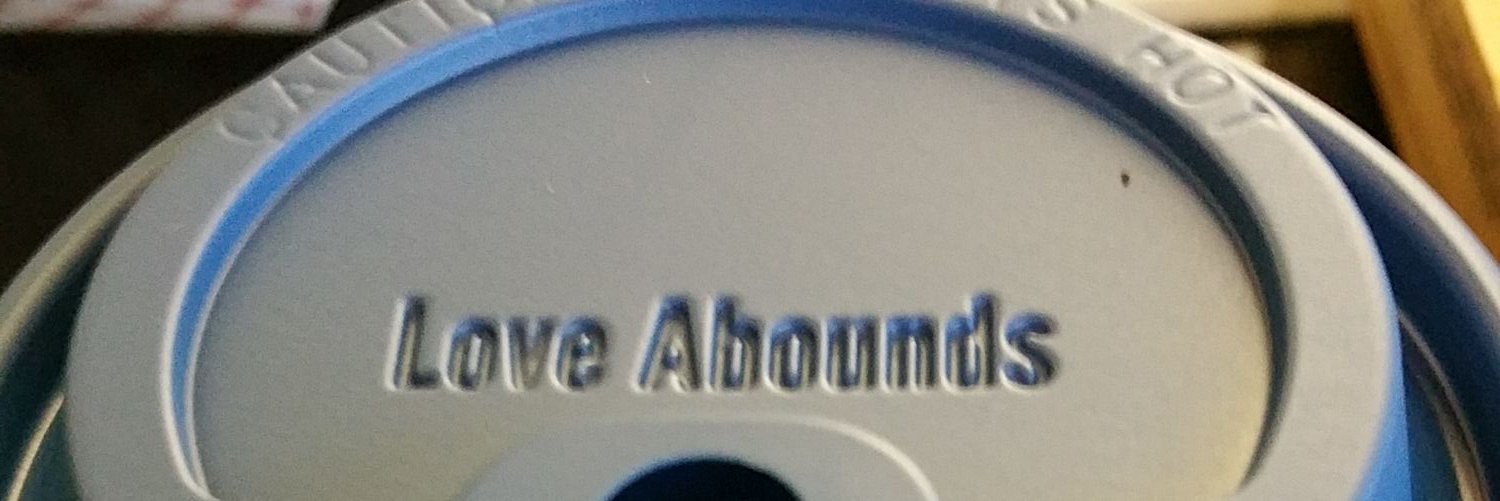 leesamahreee's profile banner image