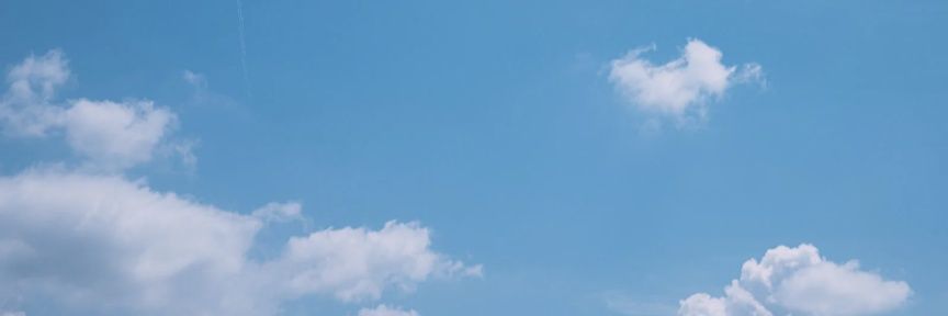 甲賀たぬき's banner