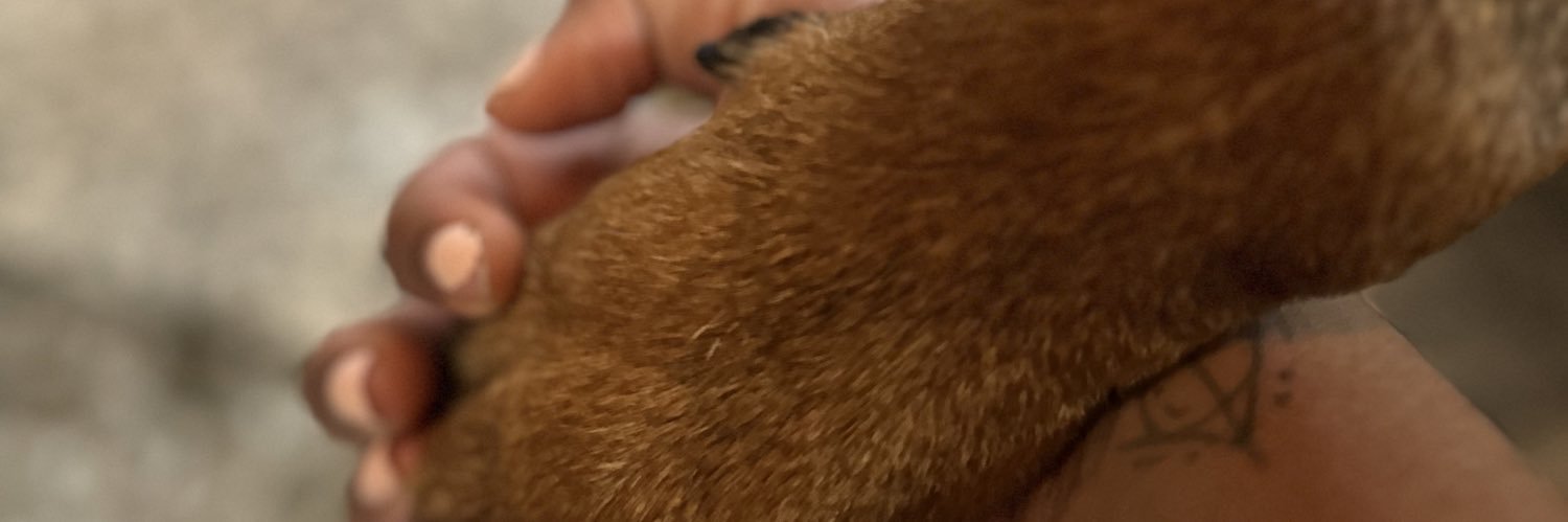 sinsimmo's profile banner image