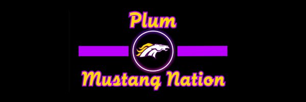 PlumMustangNat Profile Banner