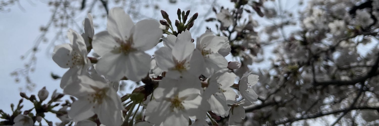 もなか 22堀切a! banner