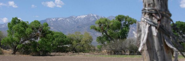 eacourier Profile Banner