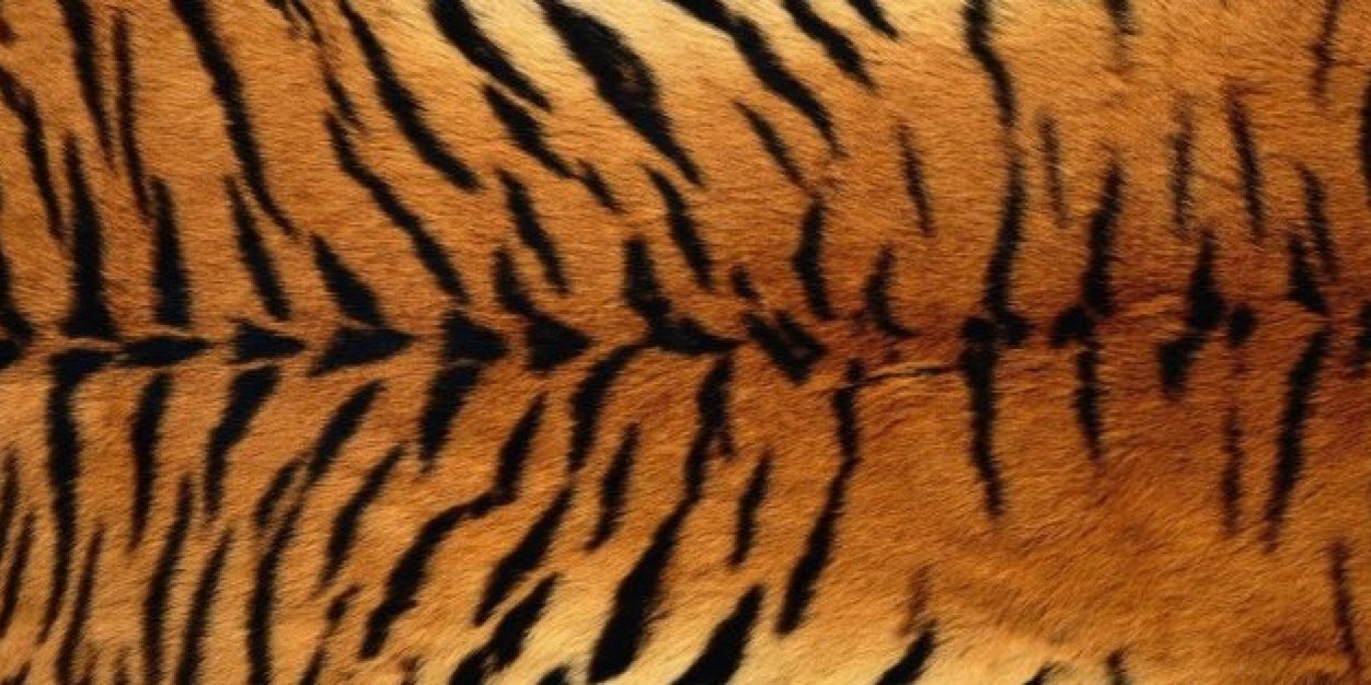 NeMeR's profile banner image