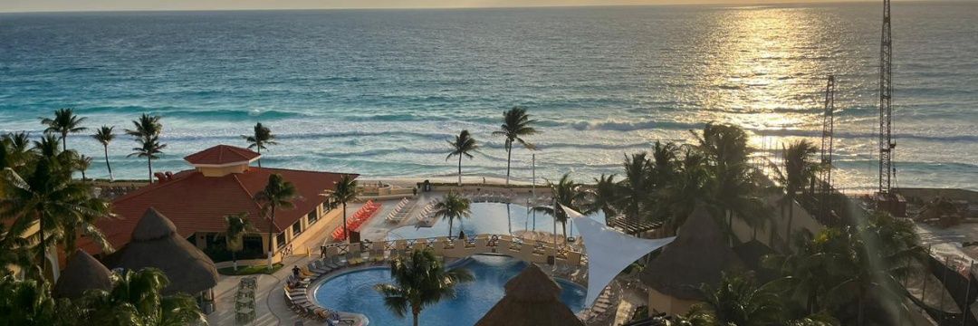 Maggie 🌹🌹 banner