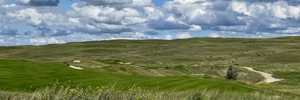 mitchmoss Profile Banner