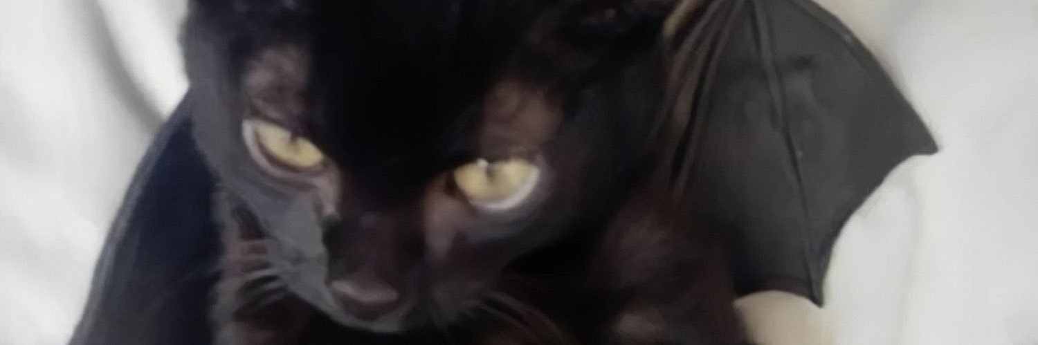 Fishbb777's profile banner image