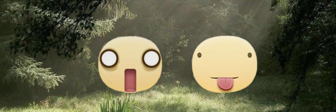 ᶻ 𝗓 𐰁's banner