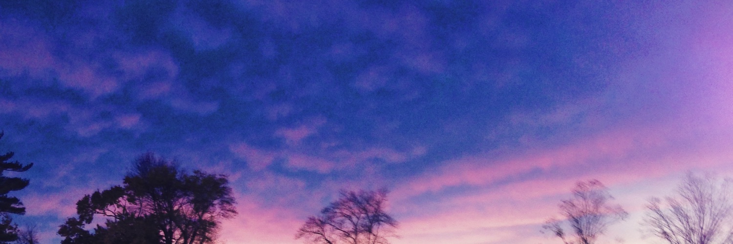 Michael Poller banner