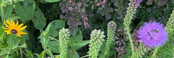 alisonclement Profile Banner