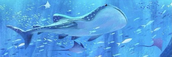 𝚂𝚑ar𝚔𝐢e 🦈 Profile Banner