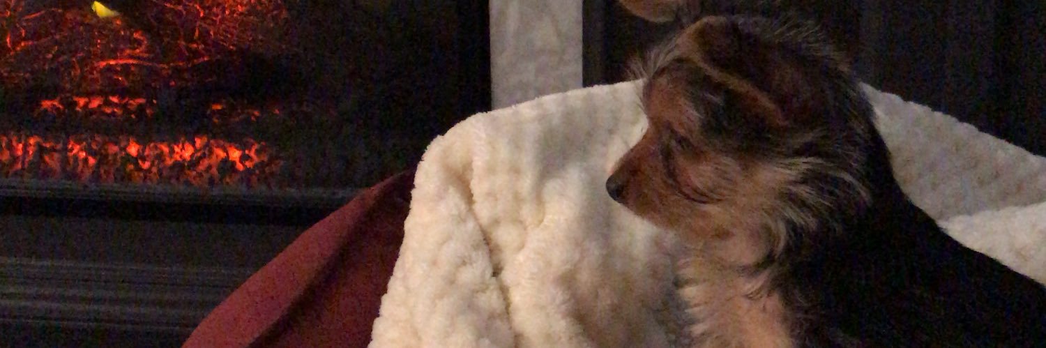 RubiiBeasty's profile banner image
