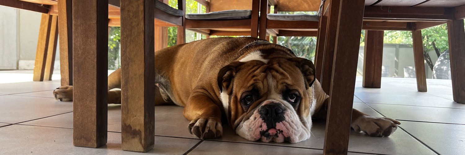 Echbert Boezak banner