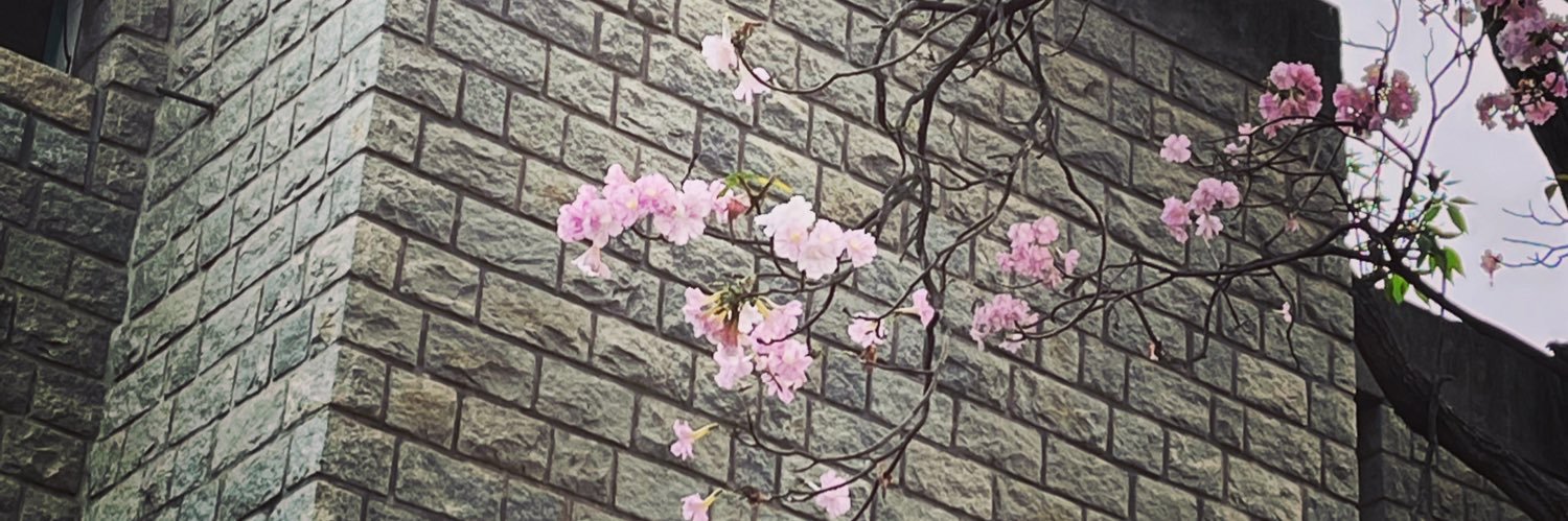 nilamk's profile banner image