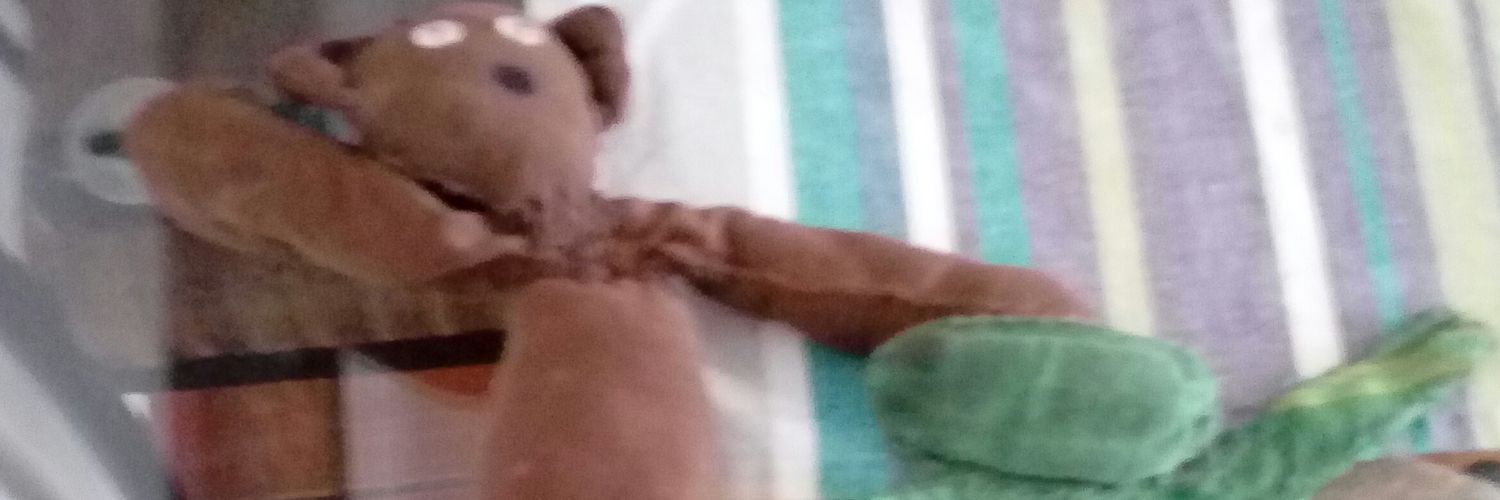 mrivascornejo's profile banner image