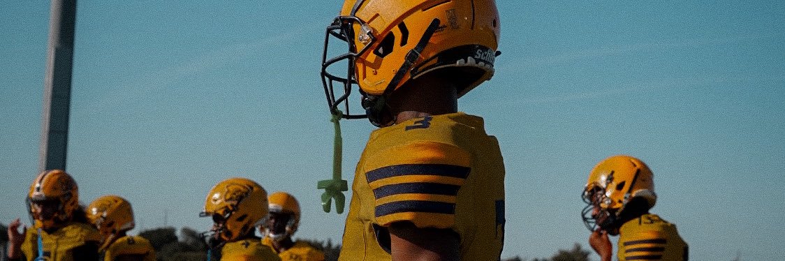 Gary mitchell banner