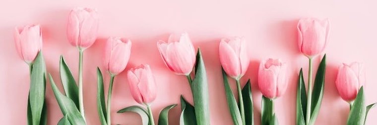 chihiro🍒 banner