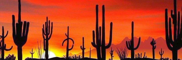 PromoTownKev Profile Banner