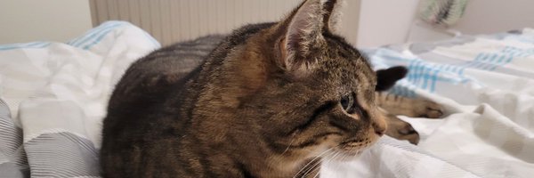 SintPatrick82 Profile Banner