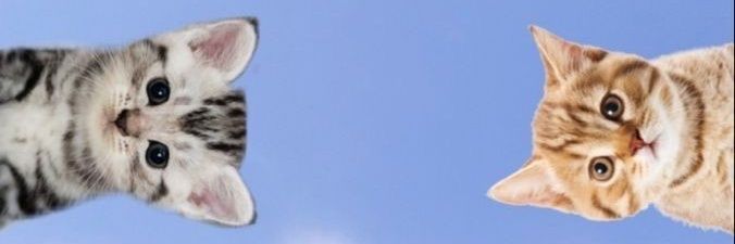 memo banner