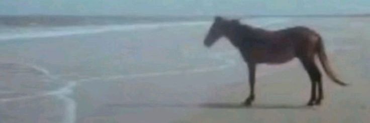 Yul || comms closed banner