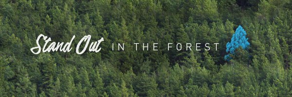 BlackBearDesign Profile Banner