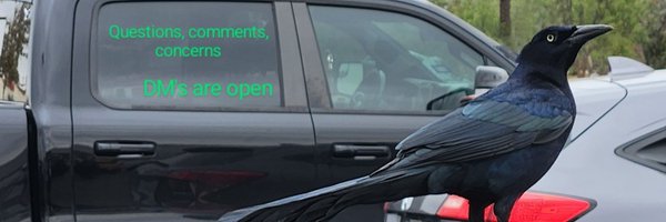 loluthought82 Profile Banner