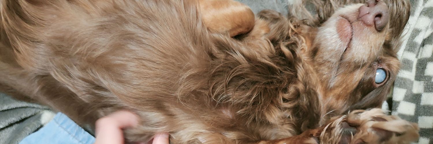 ひな🐤📐 banner