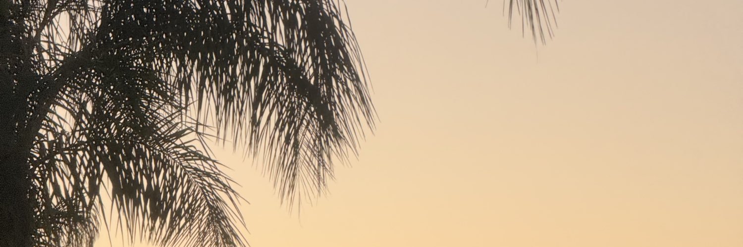 pachhecopaula's profile banner image