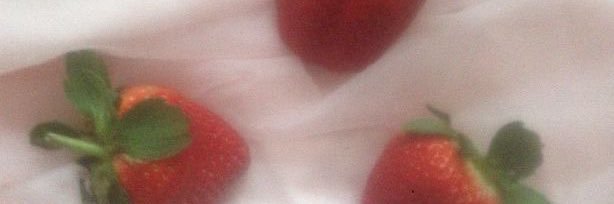 normor ⁕˚ banner