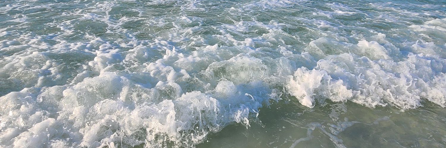 darearbrazile's profile banner image