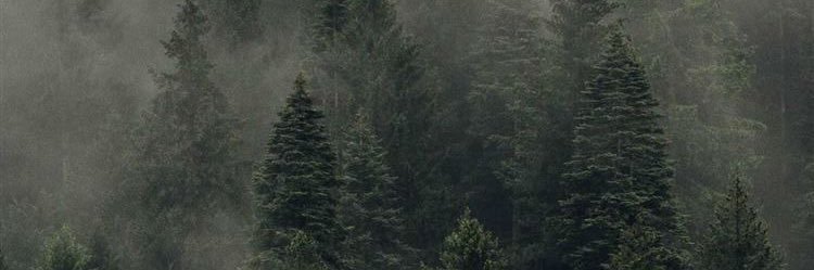 ItsJustFaithh's profile banner image