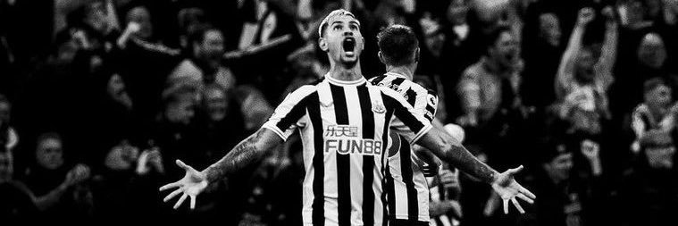 Steve Coulson banner