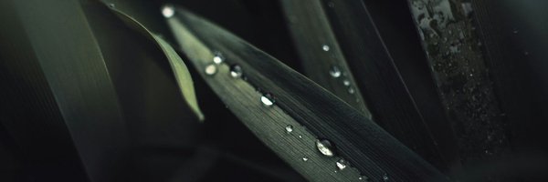 vilcer_official Profile Banner
