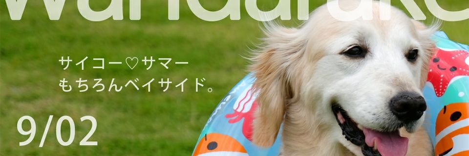 peach7626's profile banner image