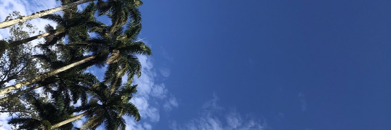 Guria de CWB 🇧🇷's banner