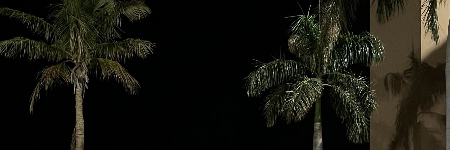 W banner