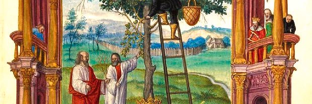 Pococurante's banner