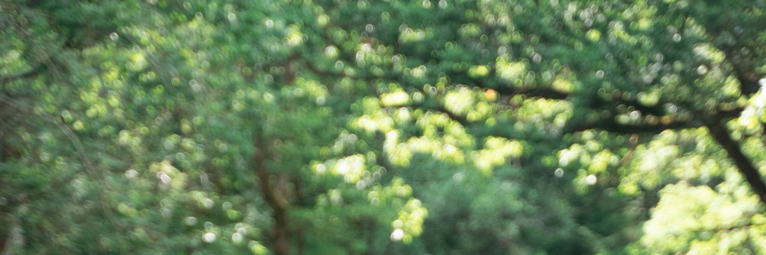 LN111's profile banner image