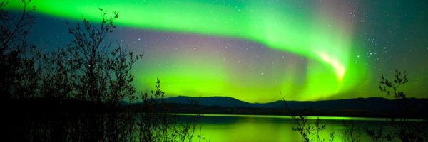 crich55372 Profile Banner