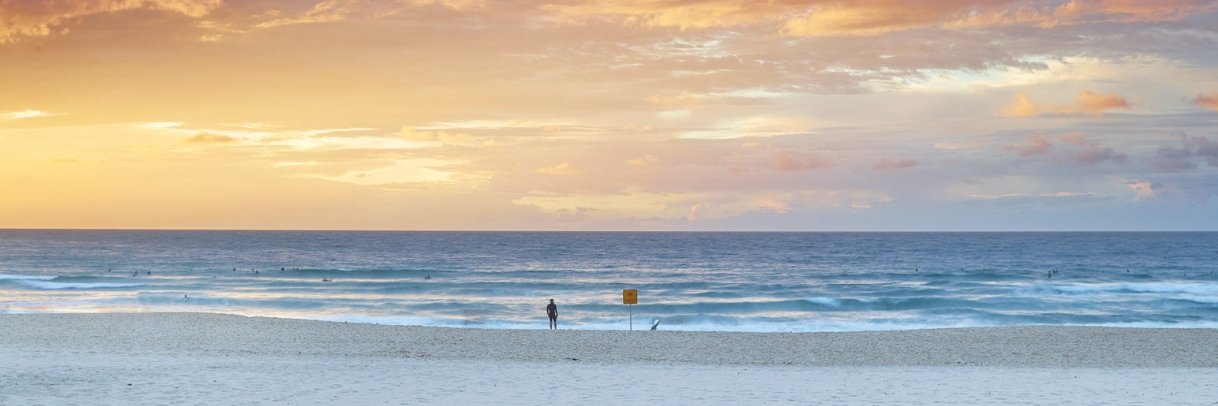 Cameron Avery banner