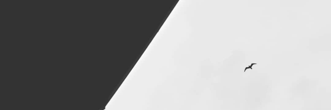 happyarchivist's profile banner image